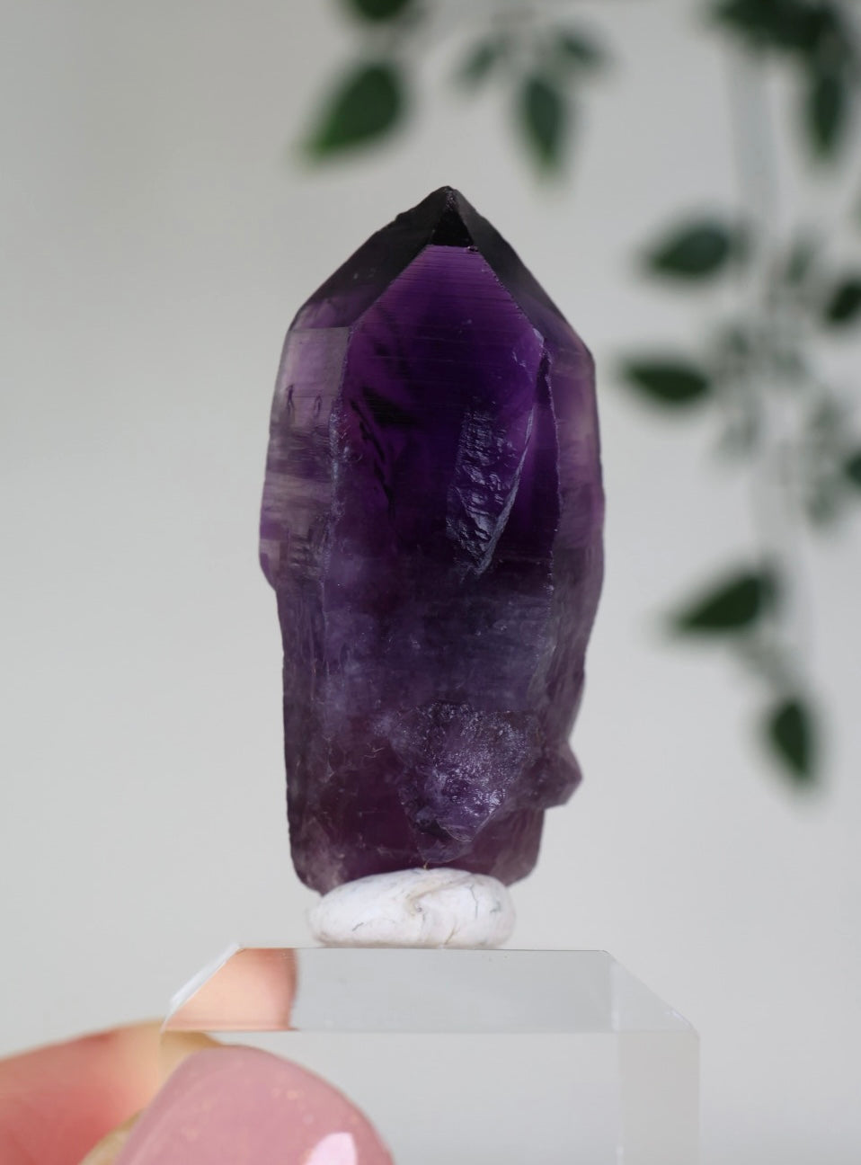 Amethyst - Neufund Nr.42AK