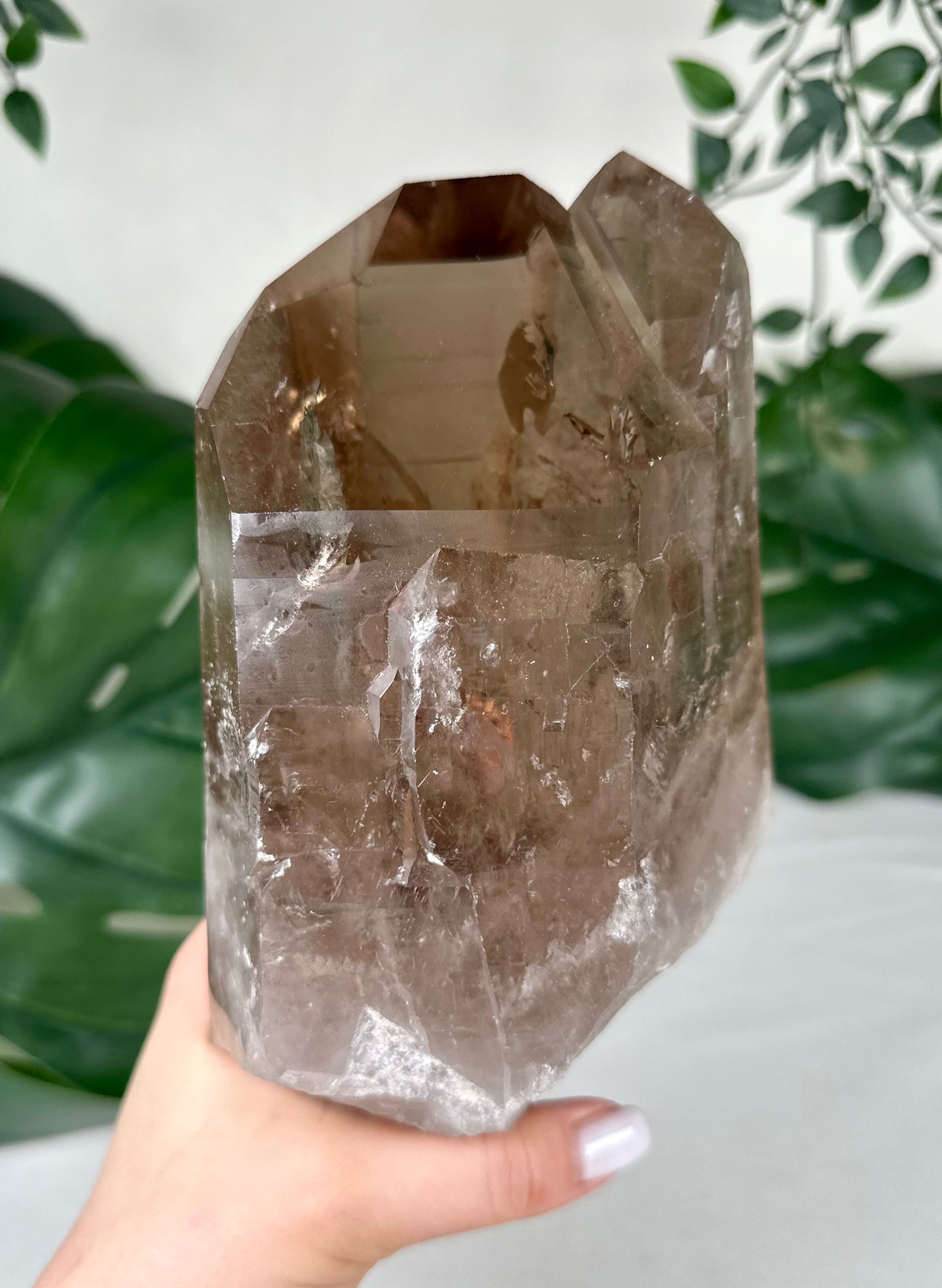 Rauchquarz Lemurian XL Nr.630LR