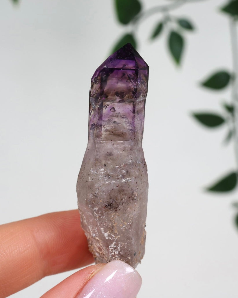 Shangaan Amethyst x Rauchquarz Zepter Nr.23SA