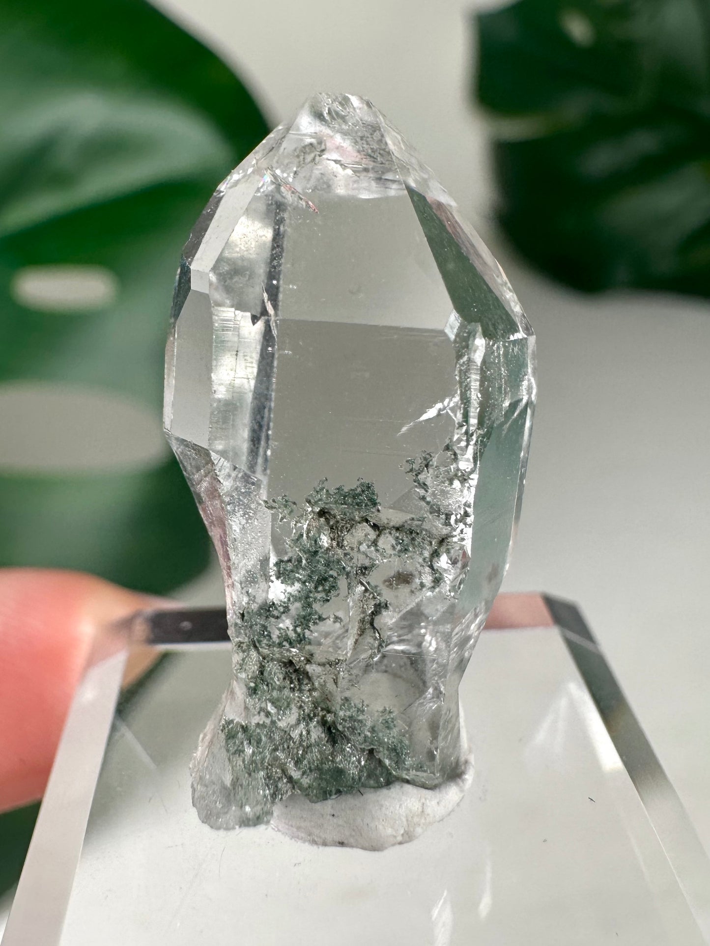 Himalaya Quarz mit Chlorit Nr.20HS