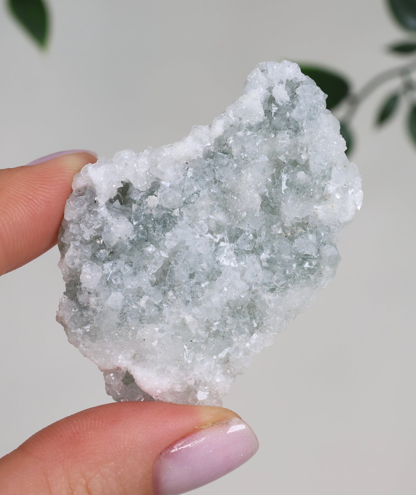 Grüner Apophyllit Crust Nr.26GC