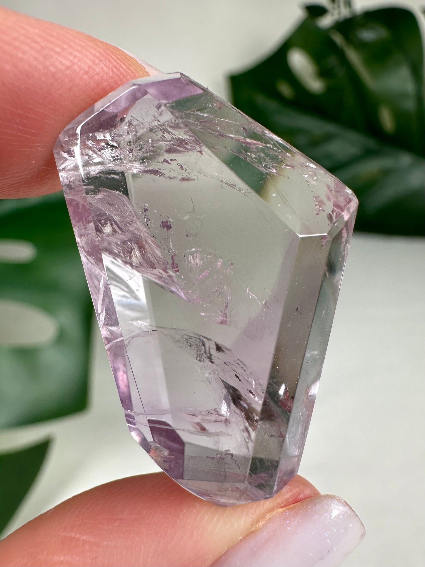 Rose de France Amethyst - Selection