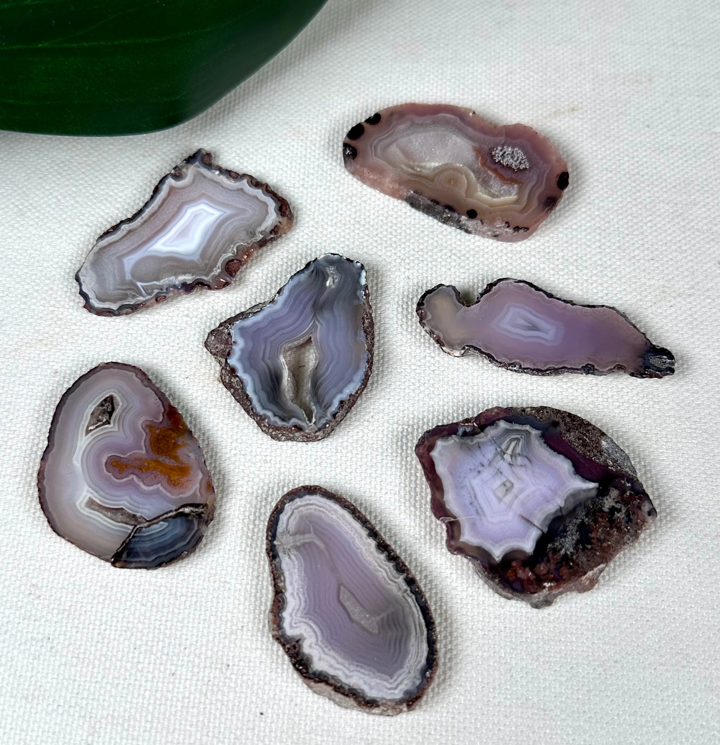 Coyamito Agate Slice - Purple - Selection