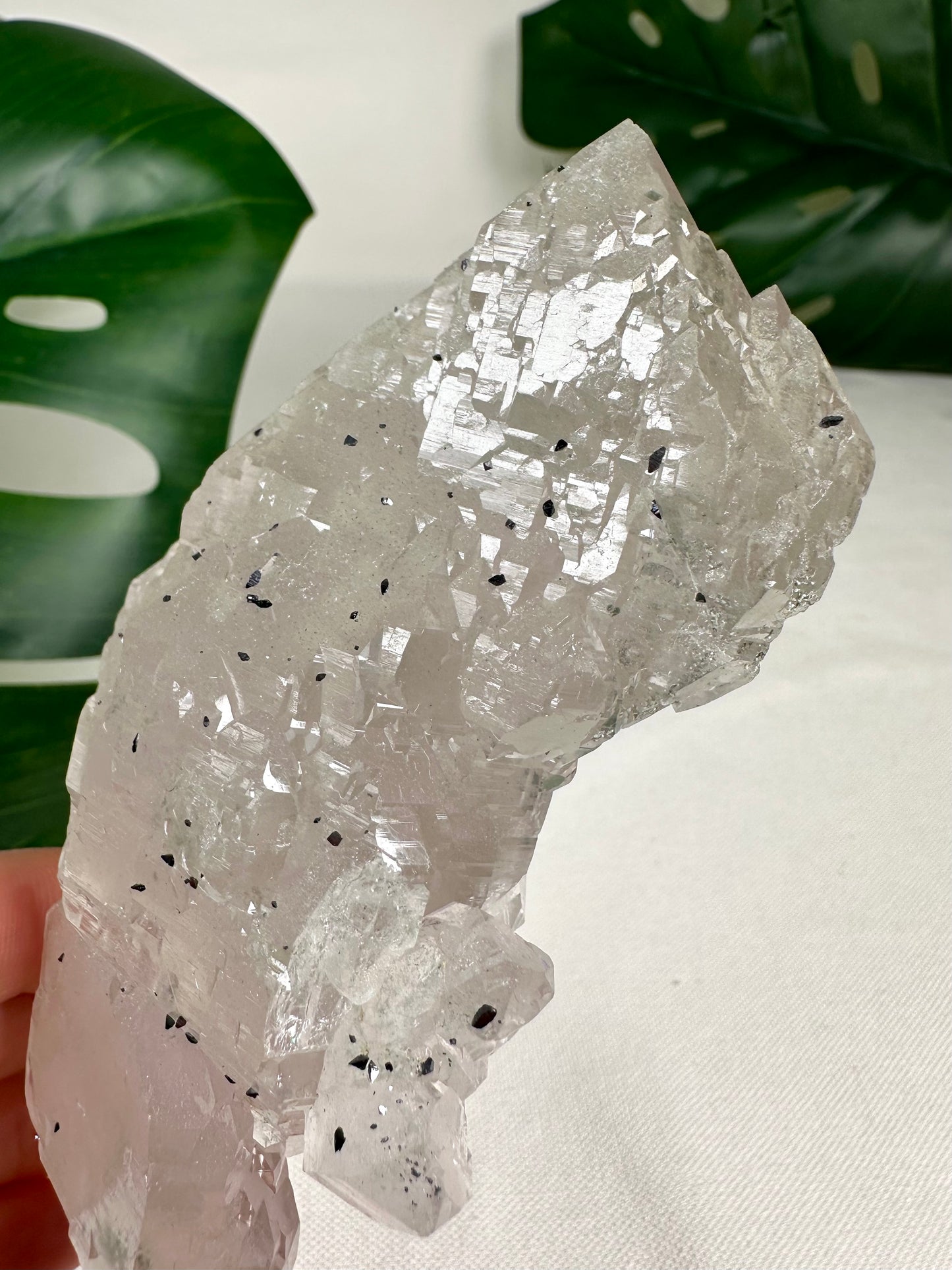 Himalaya Quarz 'Nirvana' mit Anatas Nr.1449HQ