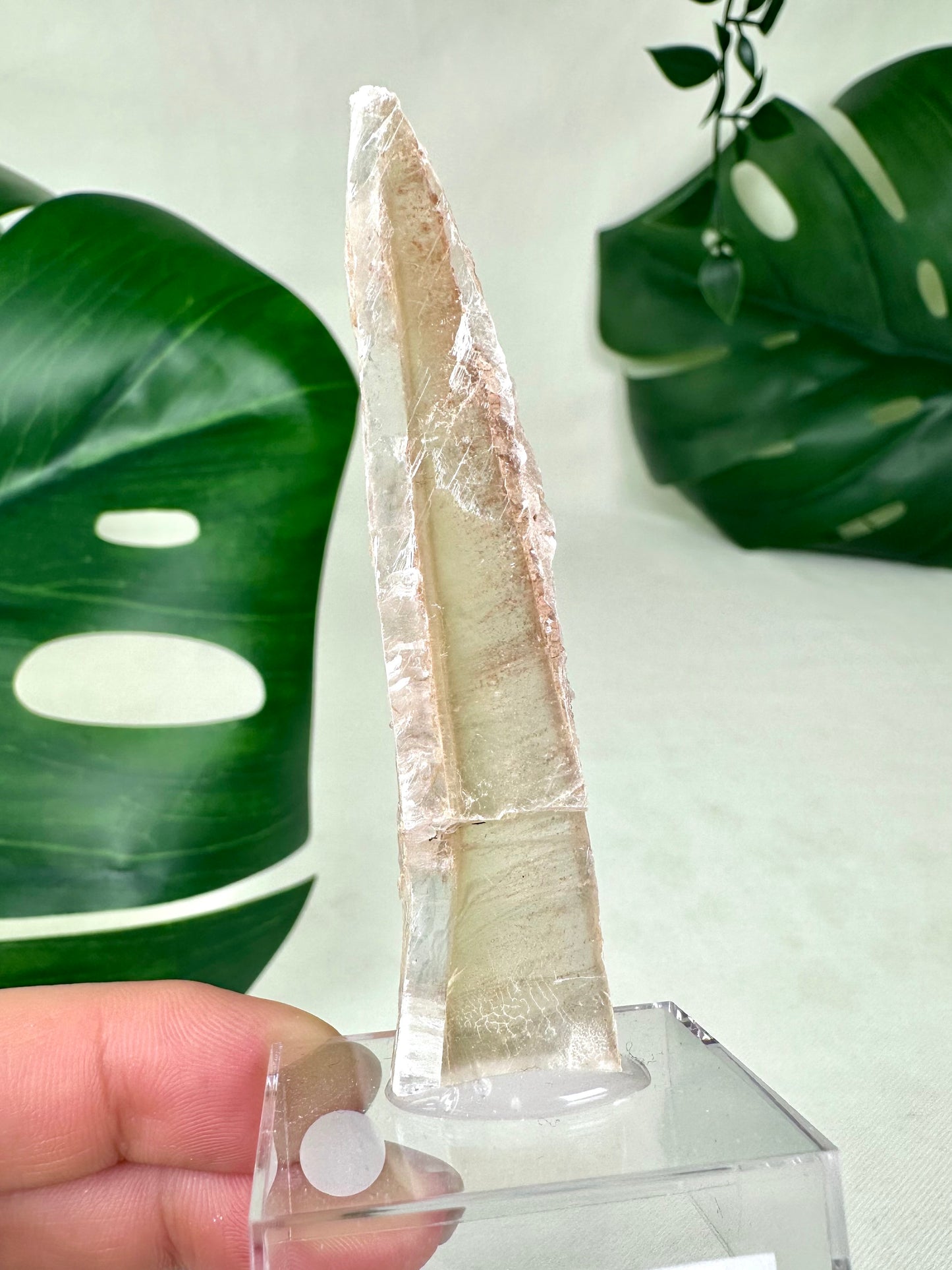 Bicolor Selenite No. 13BS