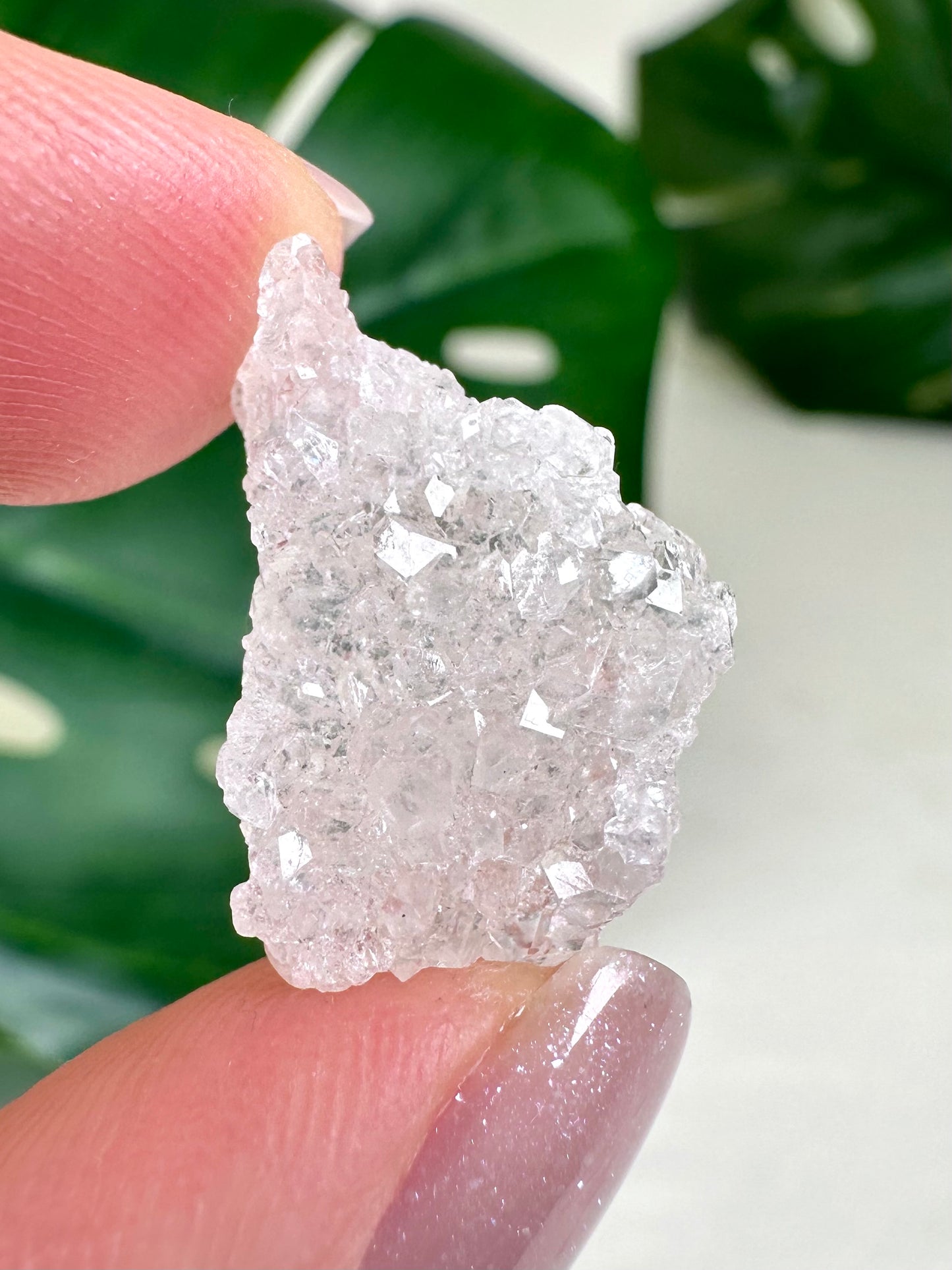 Apophyllite Crust HQ No. 13A1