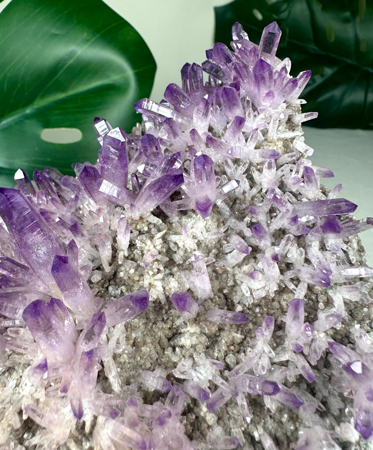 Vera Cruz Amethyst XL Nr.1149VA