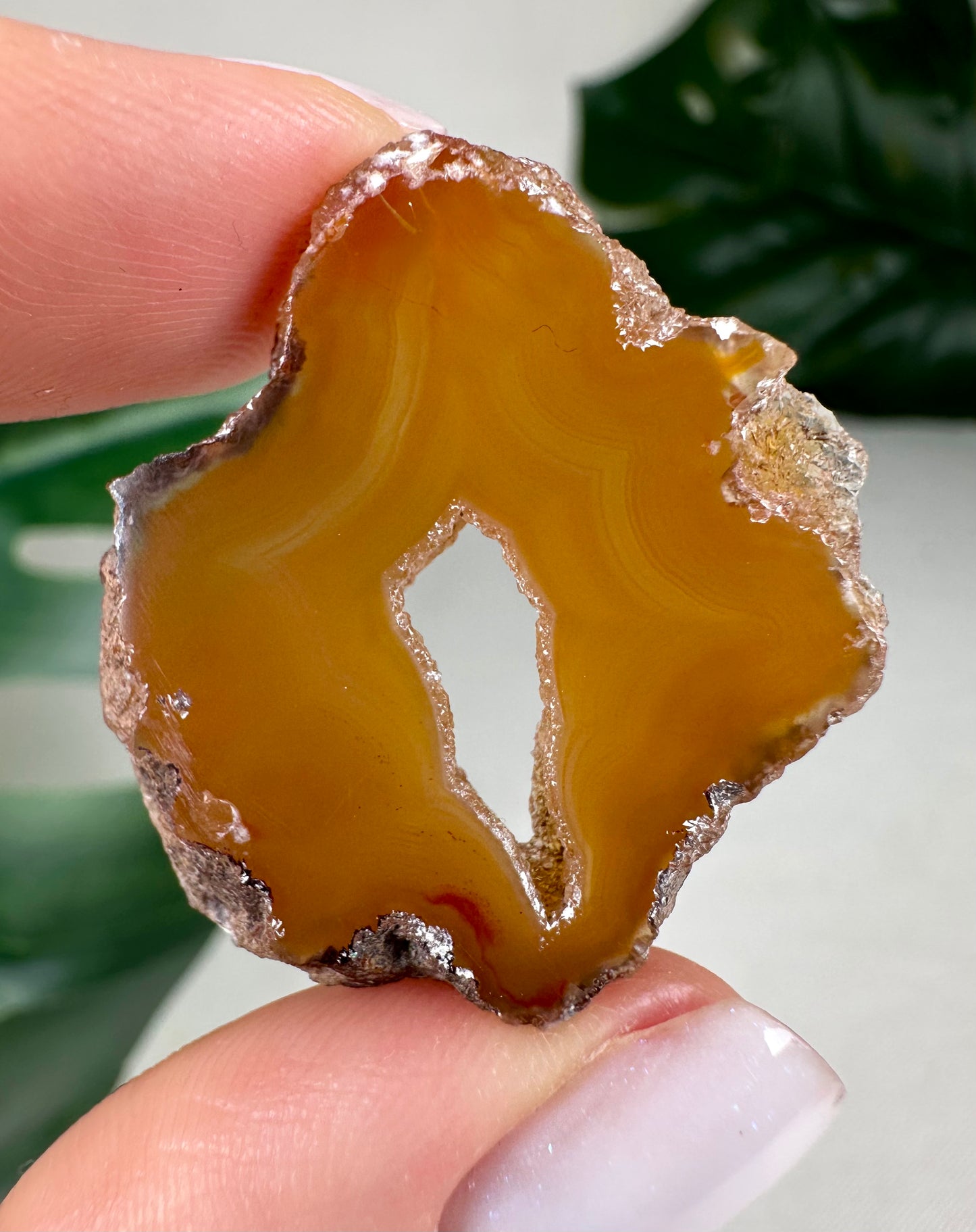 Coyamito Agate Slice - Yellow - Selection