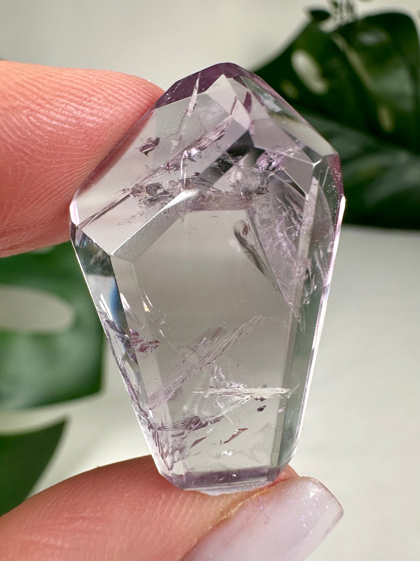 Rose de France Amethyst - Selection
