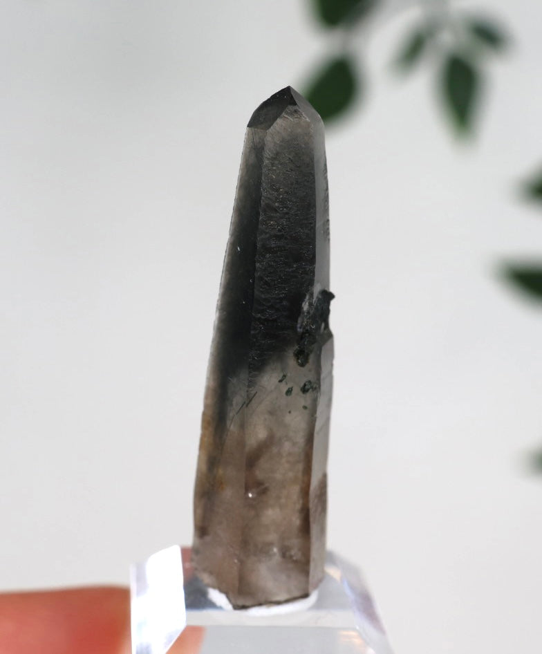 Malawi Quarz mit Riebeckit Nr.38MQ