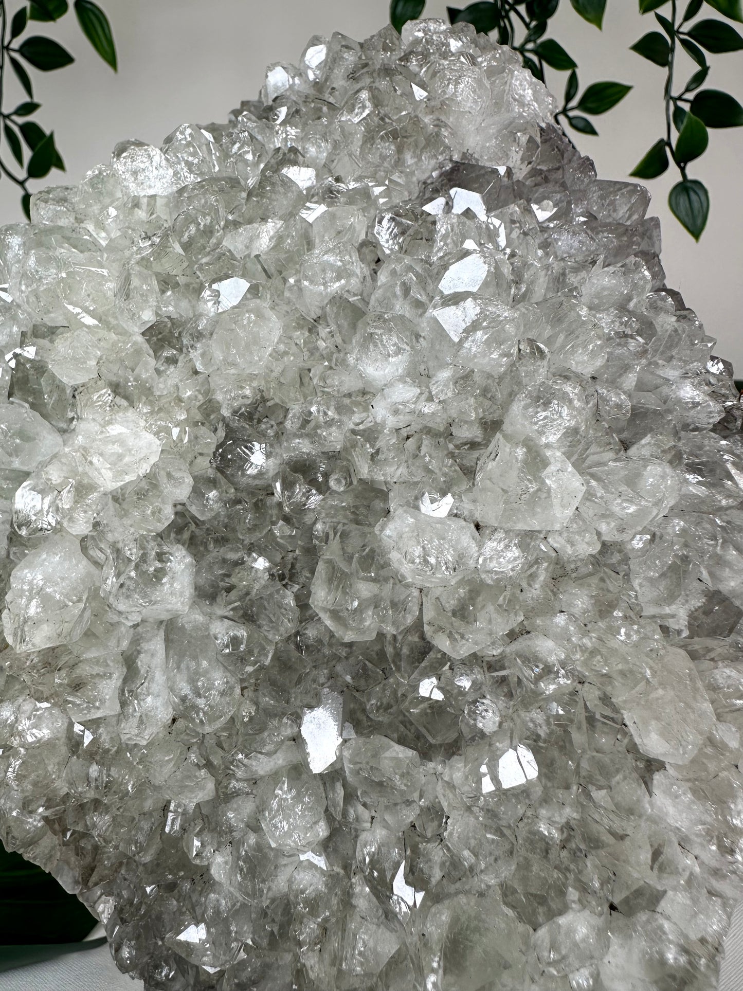 Grüner Quarz XXL Nr.1525PR