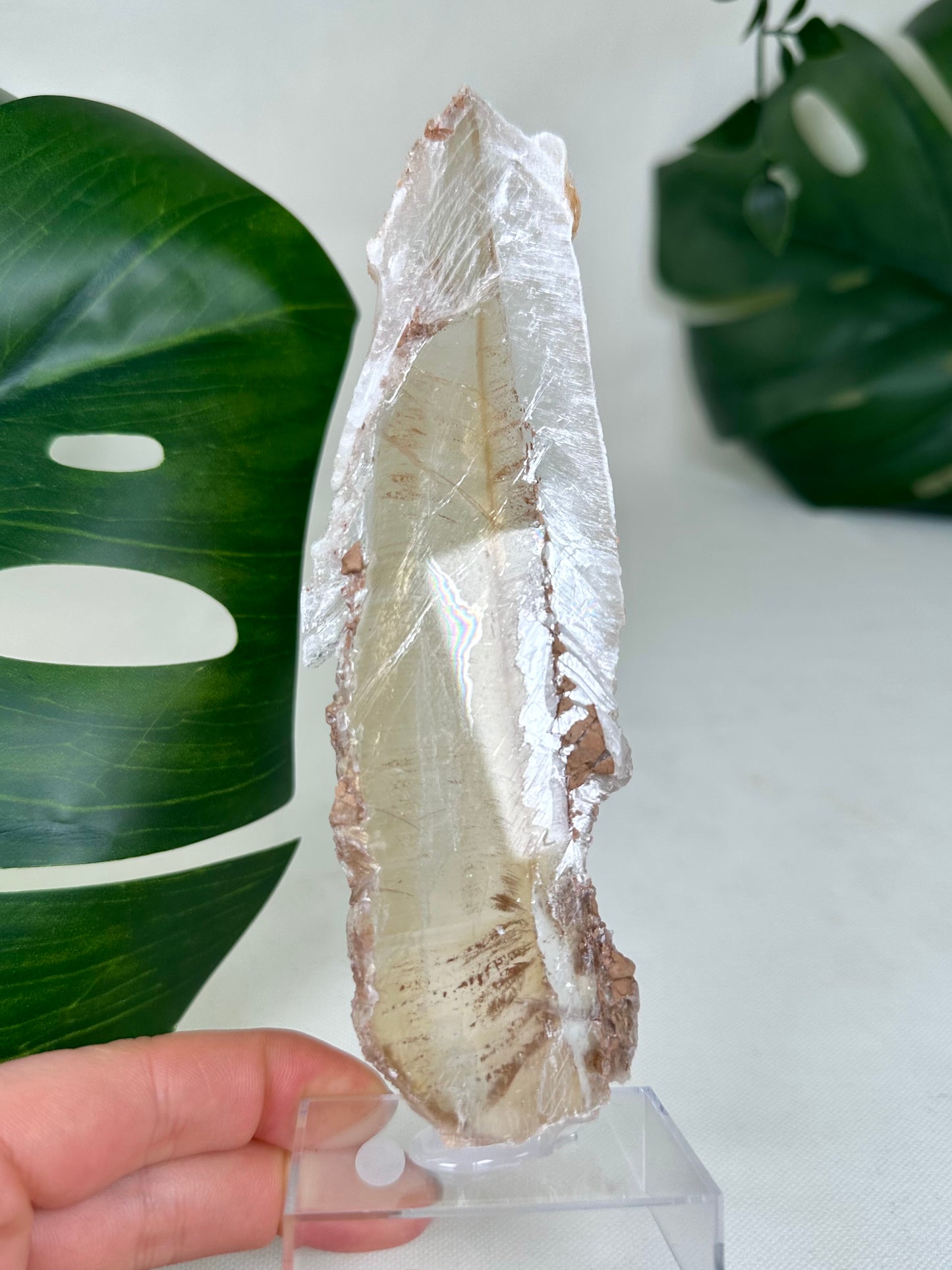 Bicolor Selenite No. 65BS
