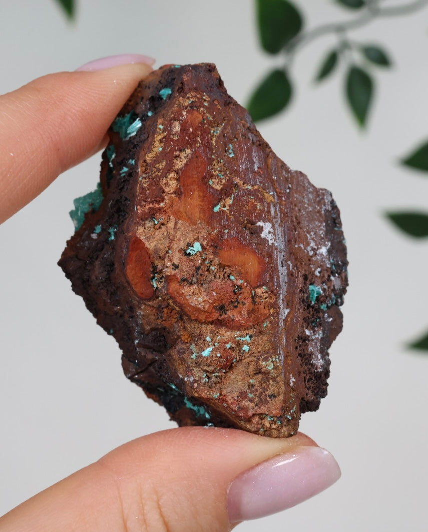 Aurichalcite Nr.29AU