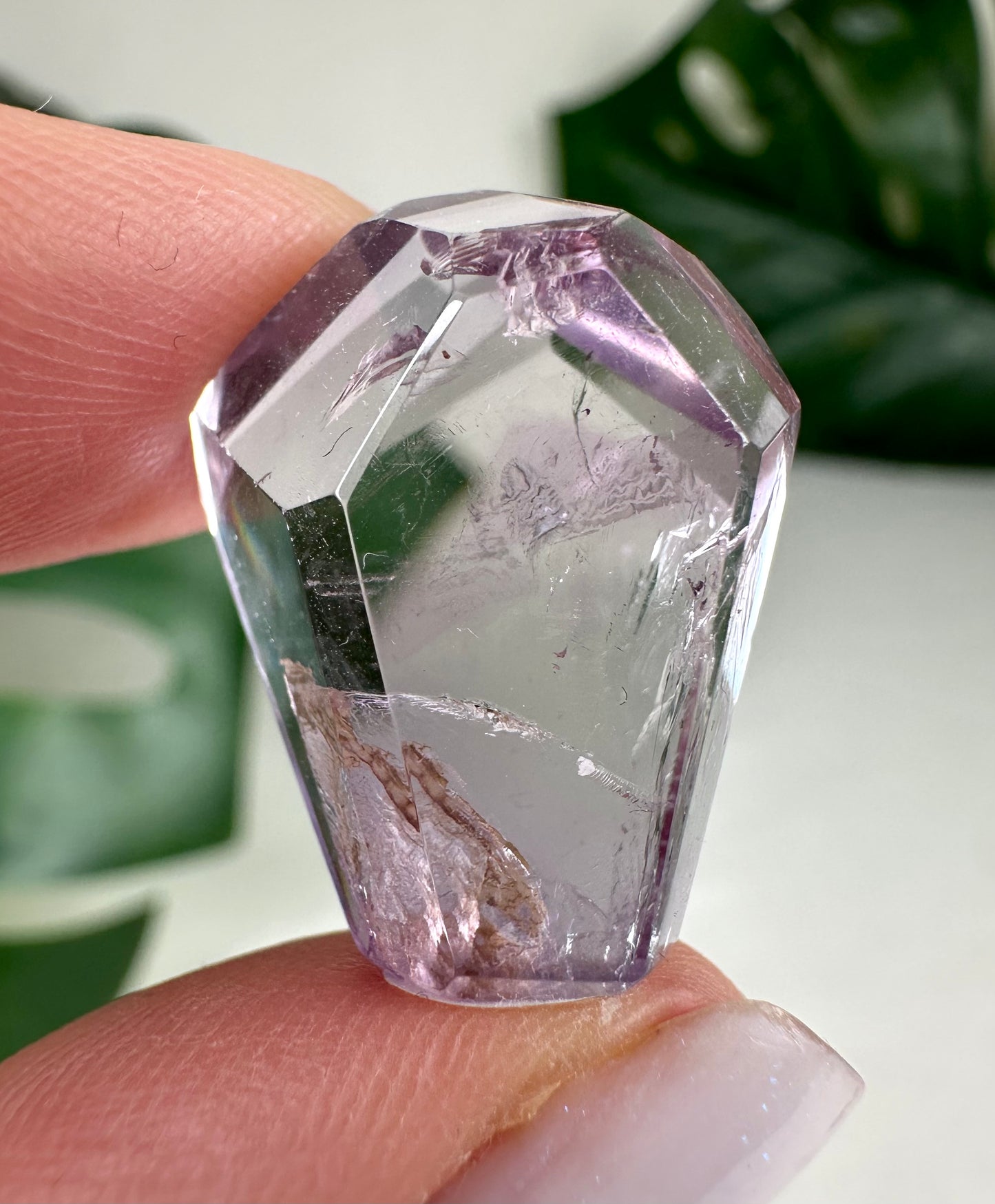 Rose de France Amethyst - Selection