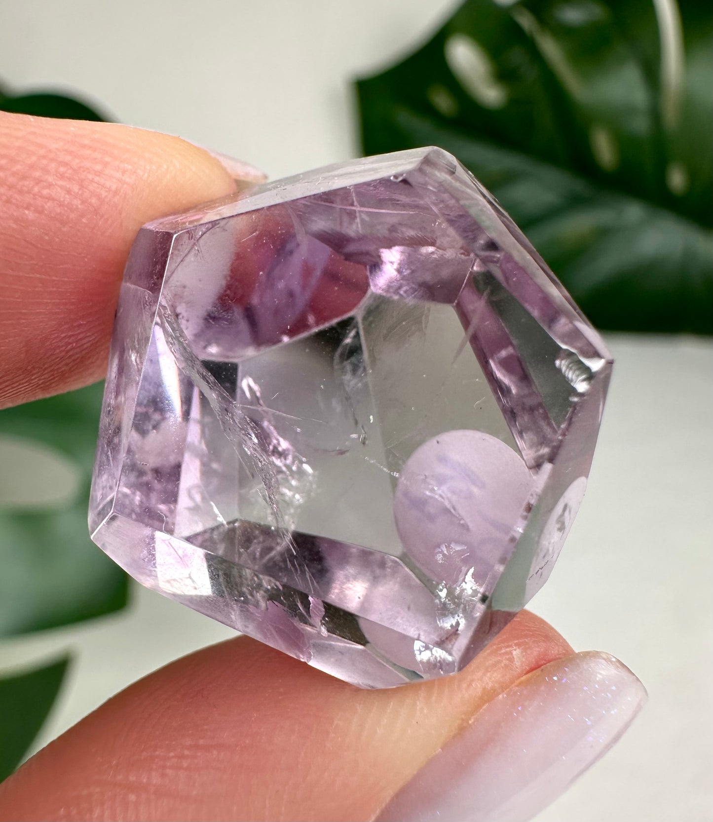 Rose de France Amethyst - Selection