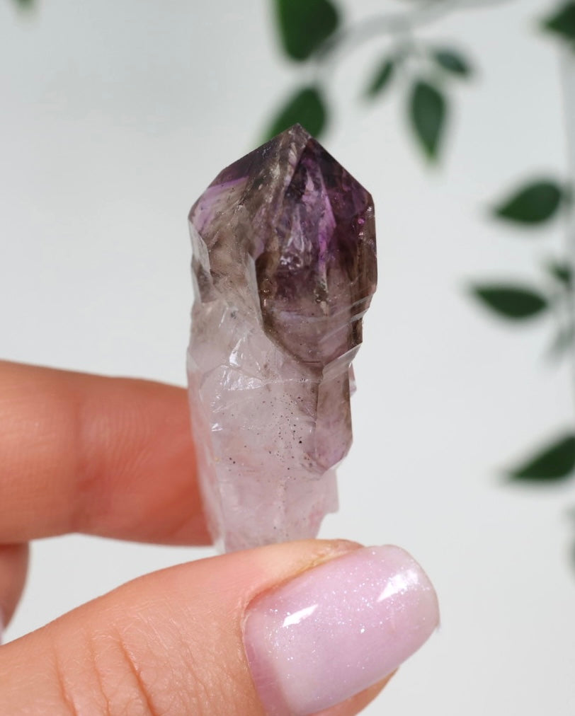Shangaan Amethyst x Rauchquarz Nr.17SA