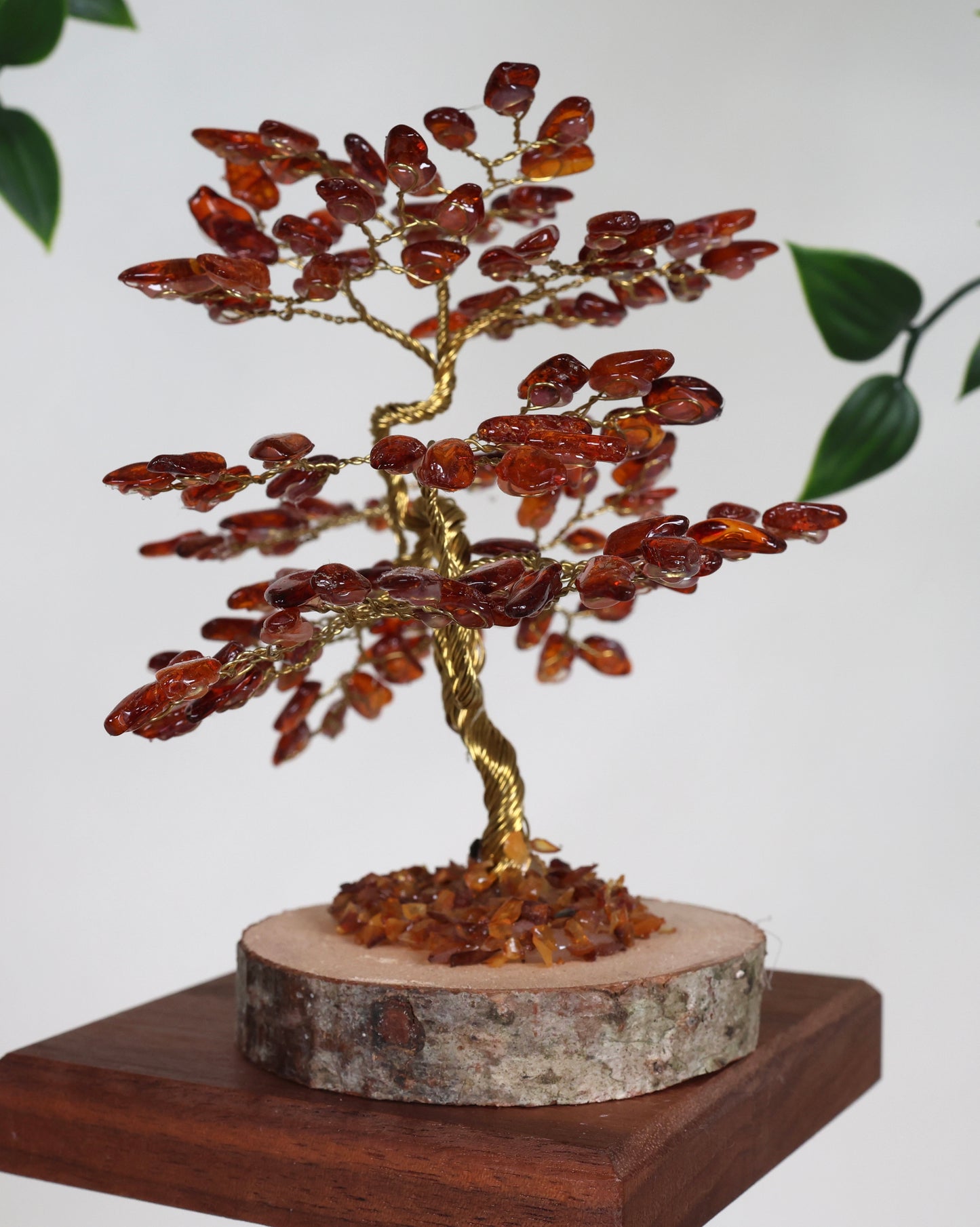 Bernstein Baum Nr.53B4