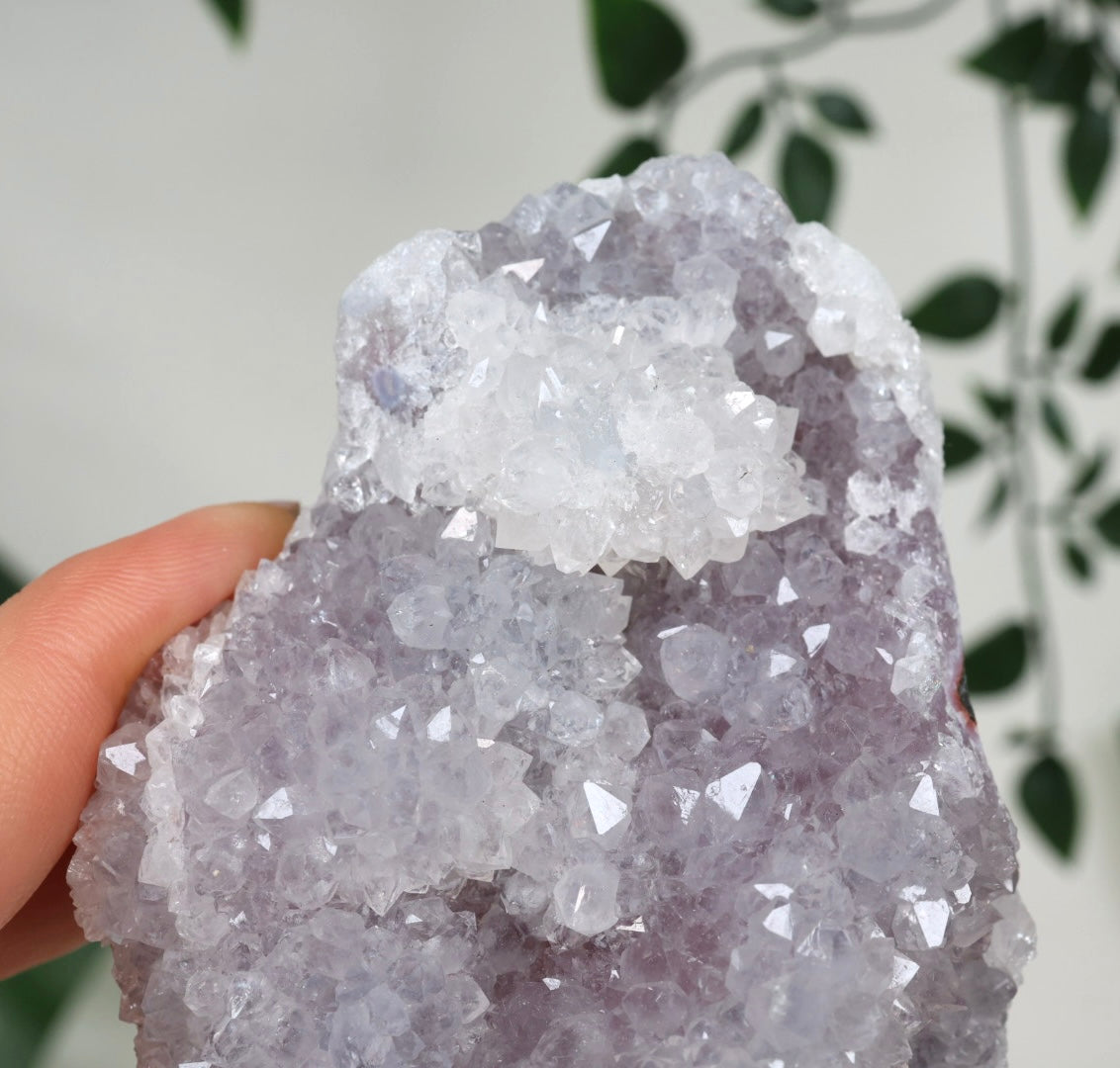 Lavendel Quarz Nr.72LV
