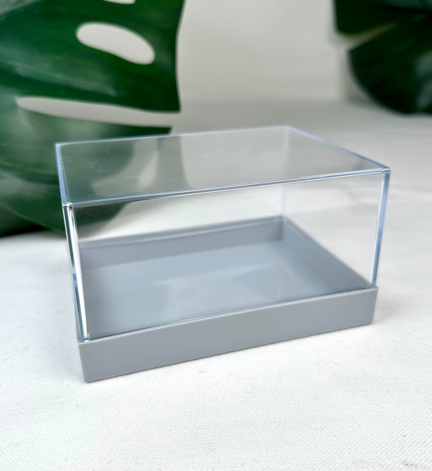 Mineralien Box L