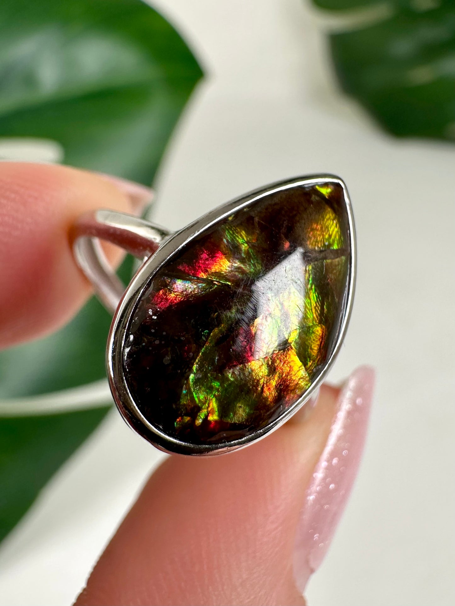 Ammolit Ring in 925 Silber Nr.115A1