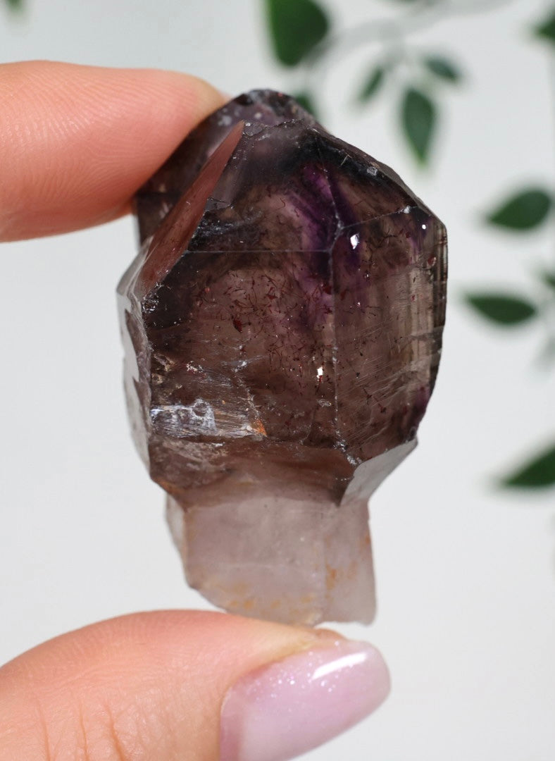 Shangaan Amethyst x Rauchquarz x Hämatit Nr.34SA