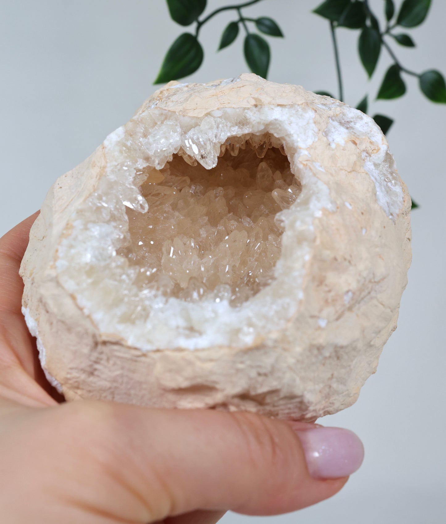 Calcit Geode Nr.22CG