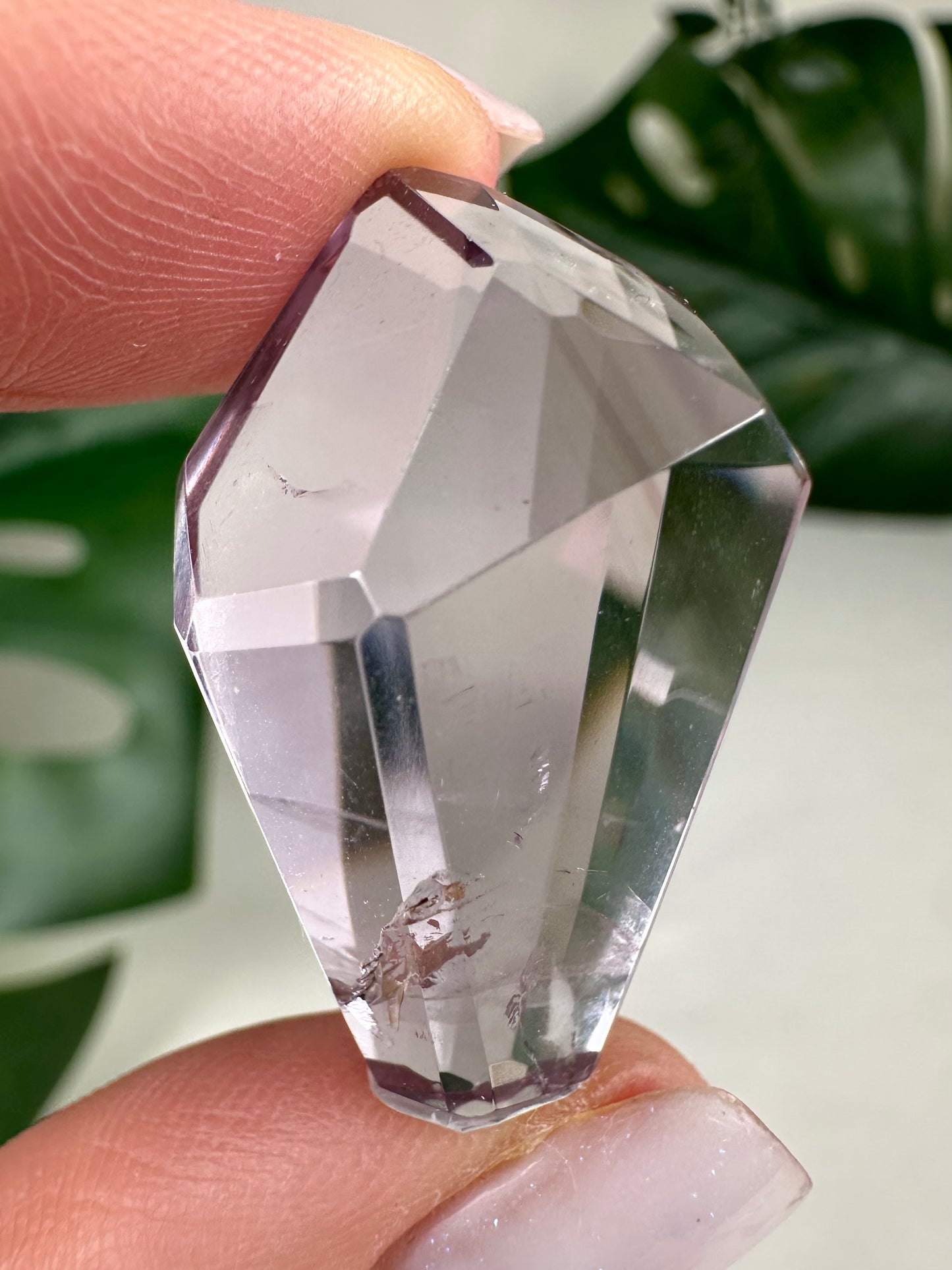 Rose de France Amethyst - Selection
