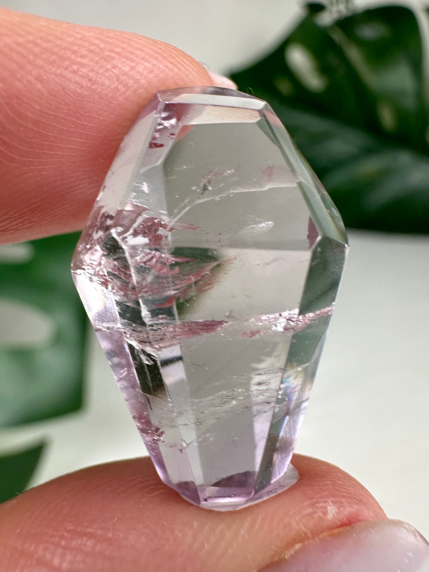 Rose de France Amethyst - Selection