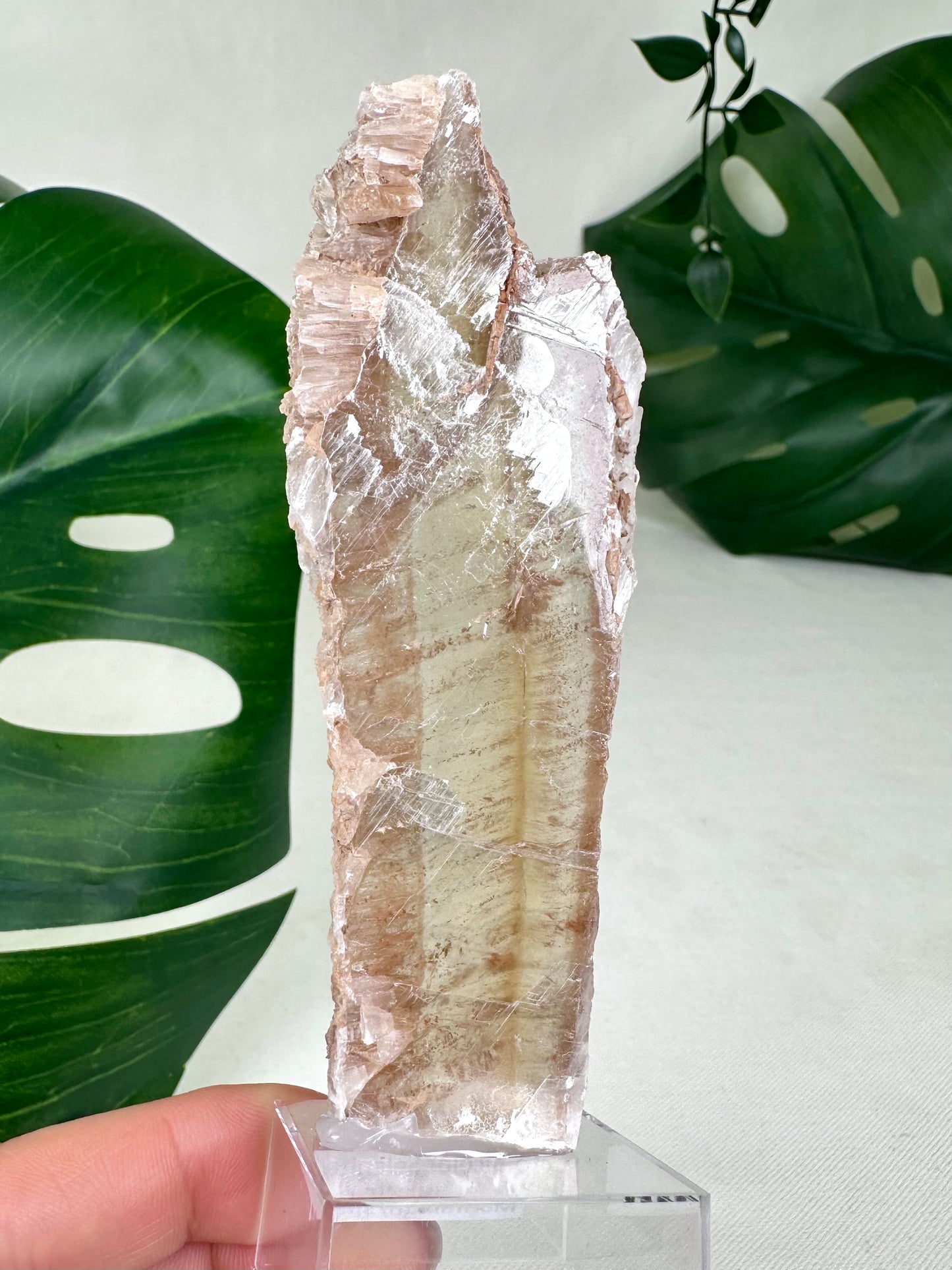 Bicolor Selenite No. 37BS