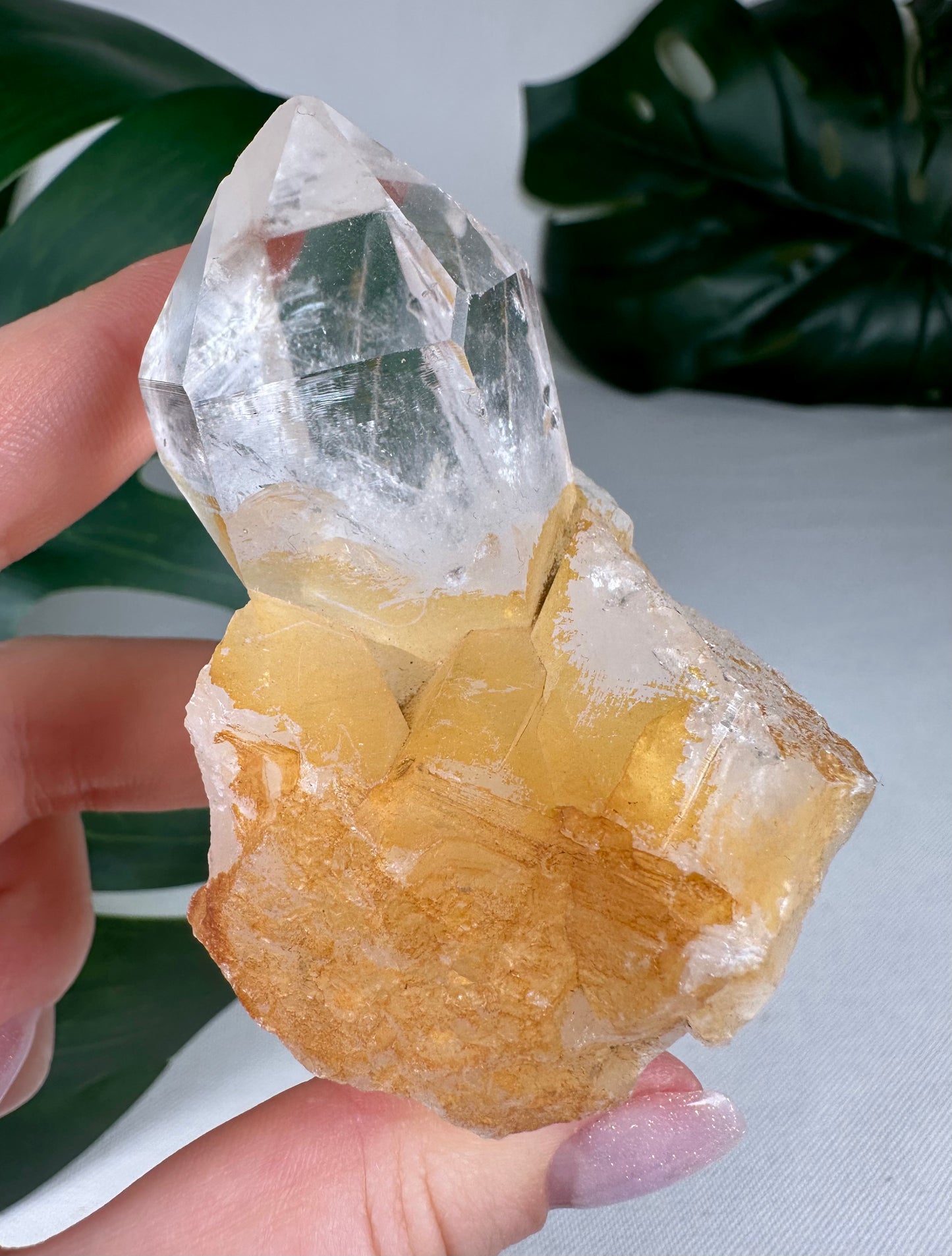 Himalaya Quarz Spitze Nr.53HG