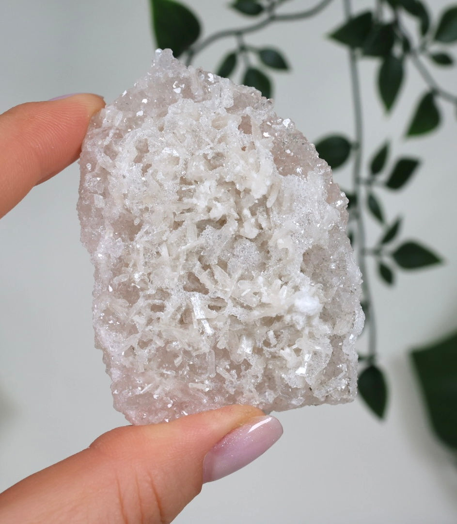 Pink Apophyllit Crust HQ Nr.49PA