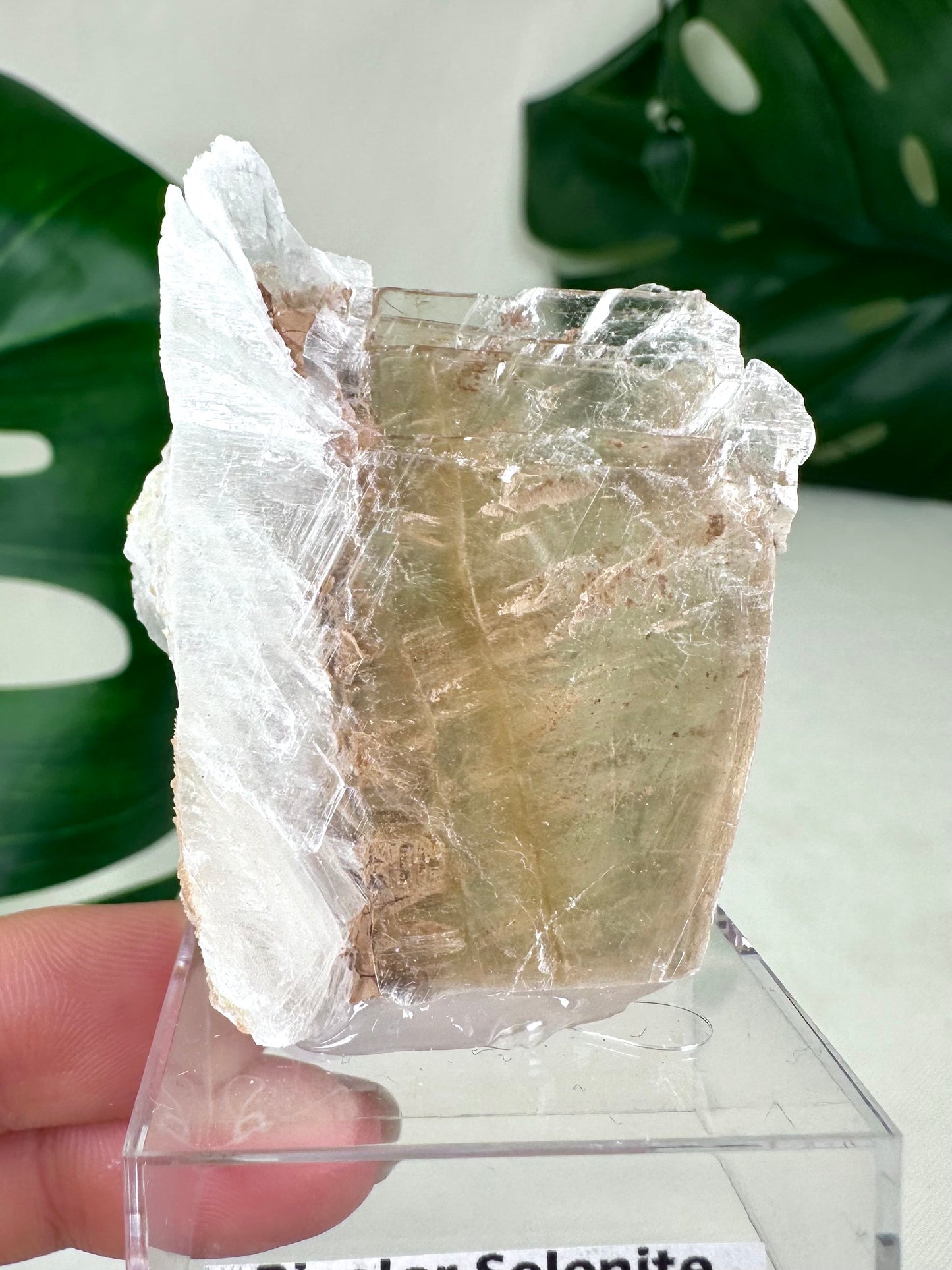 Bicolor Selenite No. 20BS