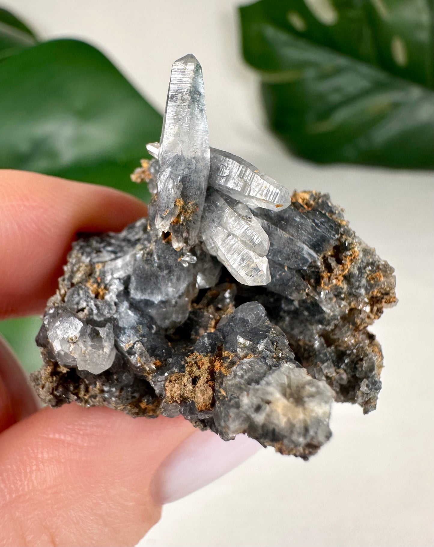Black Phantom Quartz - Selection S