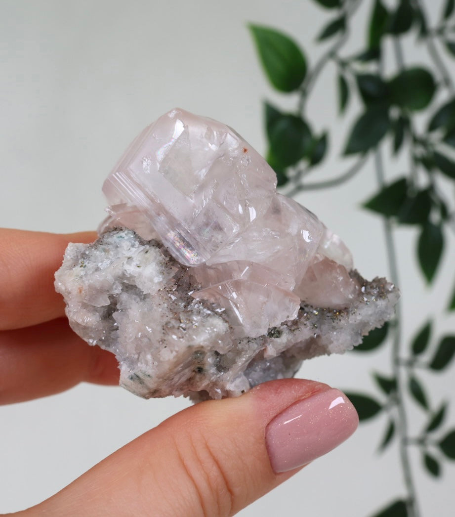 Pink Diamond Calcit x Chalkopyrit Nr.137DC