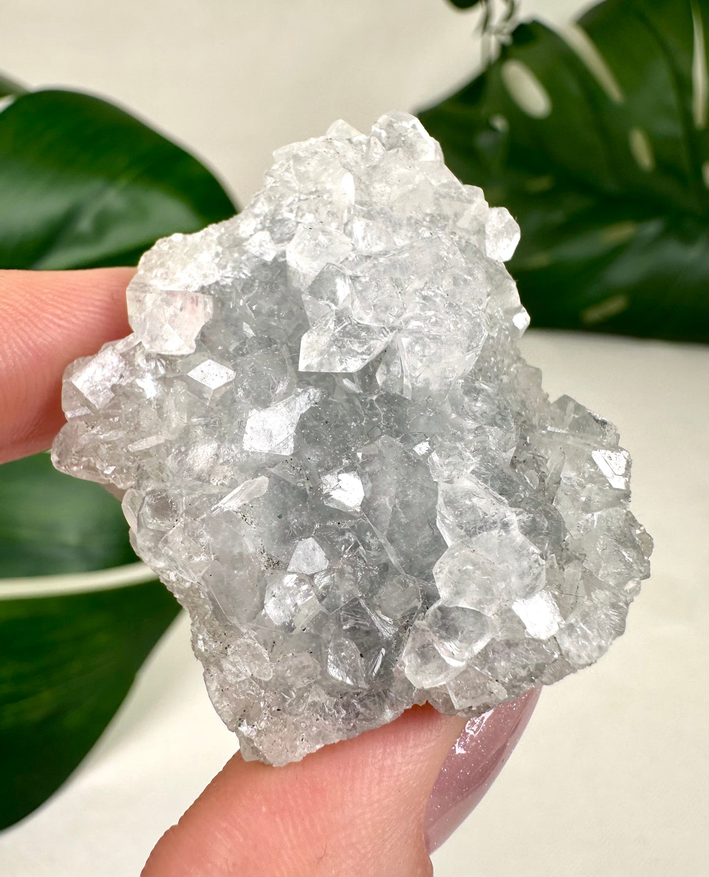 Apophyllit x Chalcedon Nr.10AC