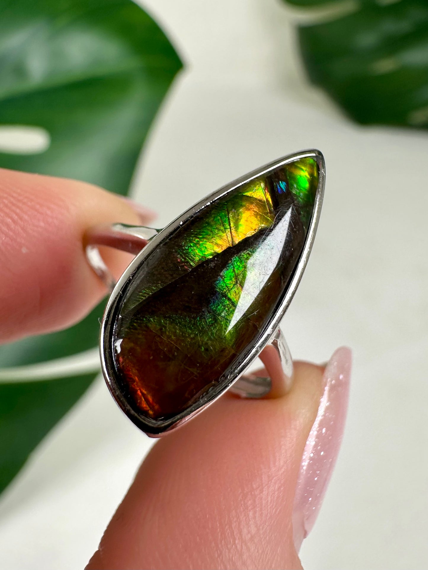 Ammolit Ring in 925 Silber Nr.115A2