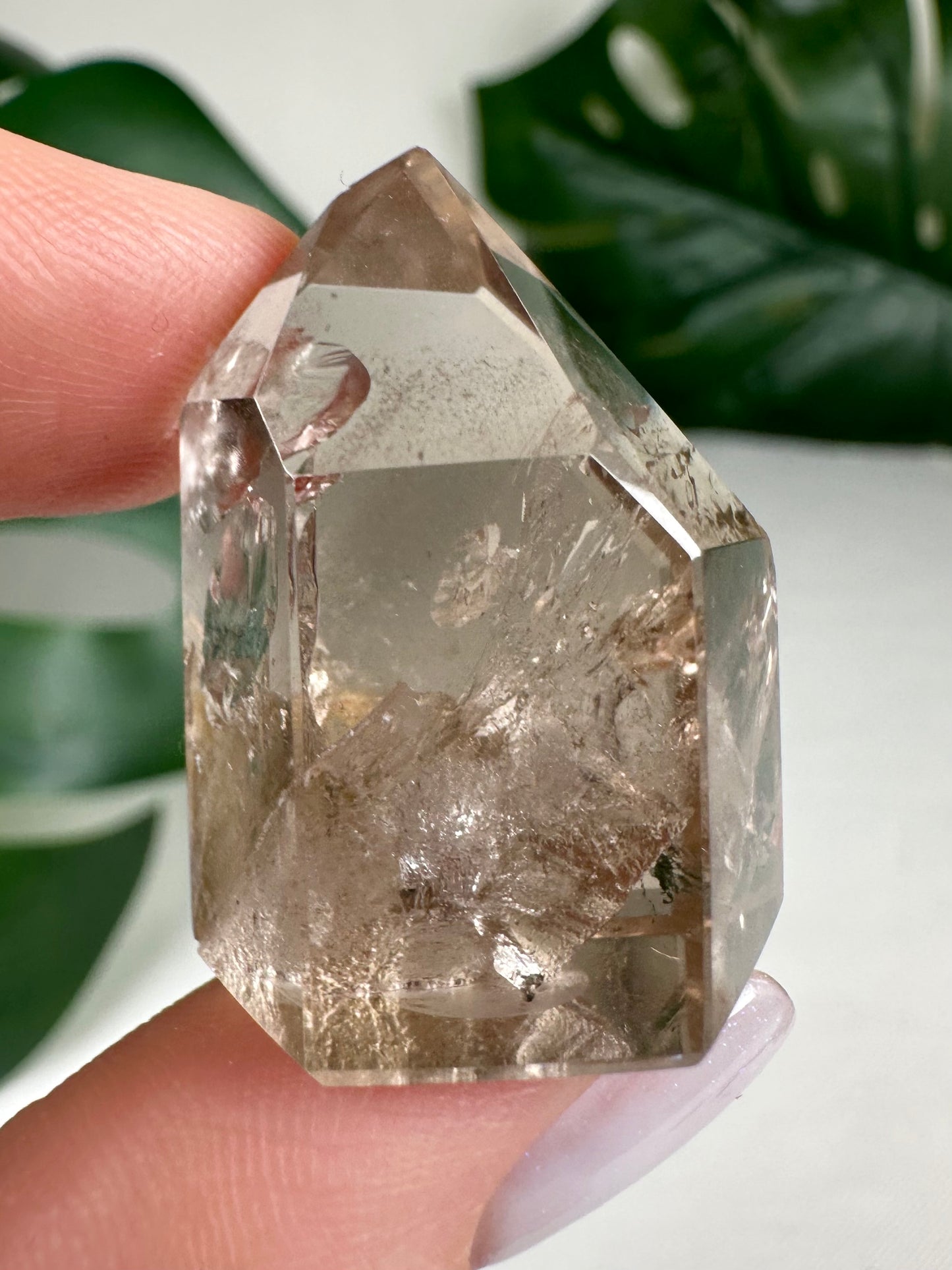 Quarz in Quarz Nr.19B6