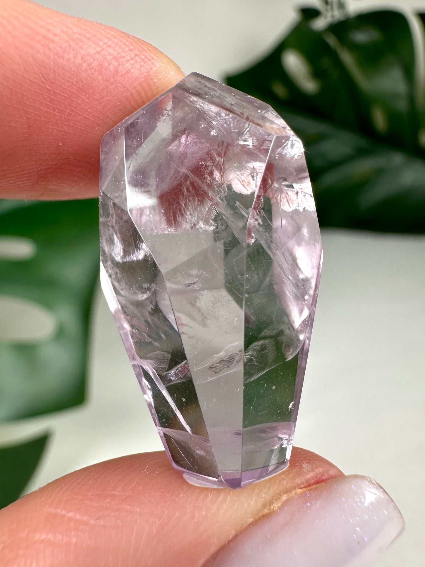 Rose de France Amethyst - Selection
