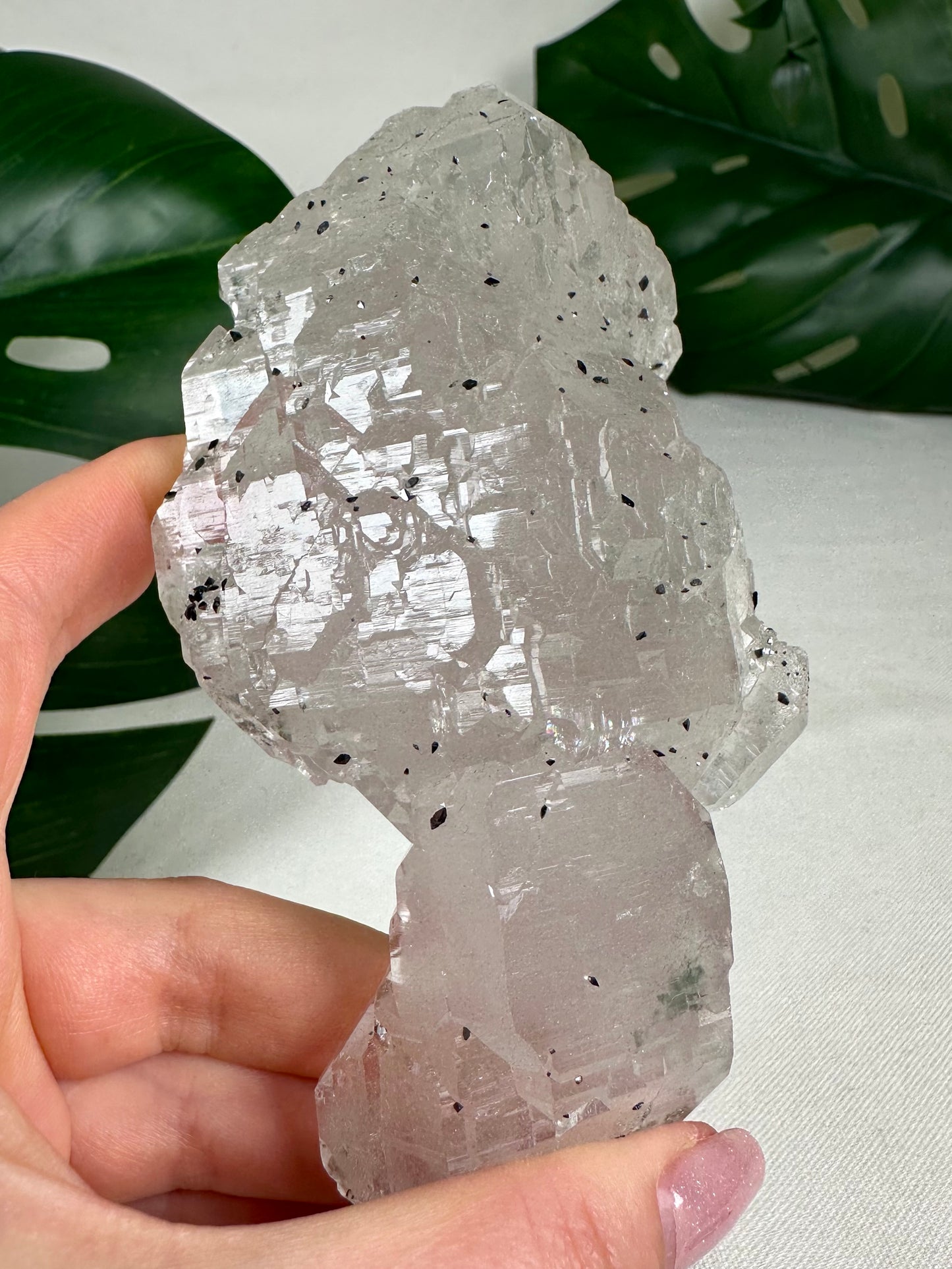 Himalaya Quarz 'Nirvana' mit Anatas Nr.1449HQ