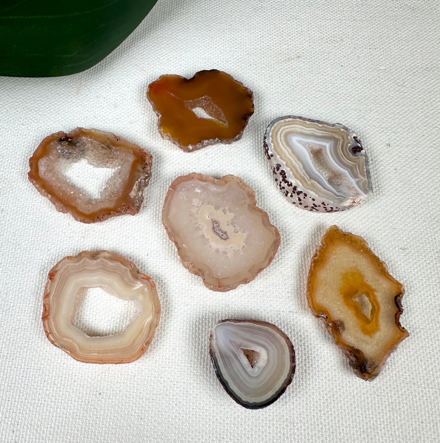 Coyamito Agate Slice - Yellow - Selection