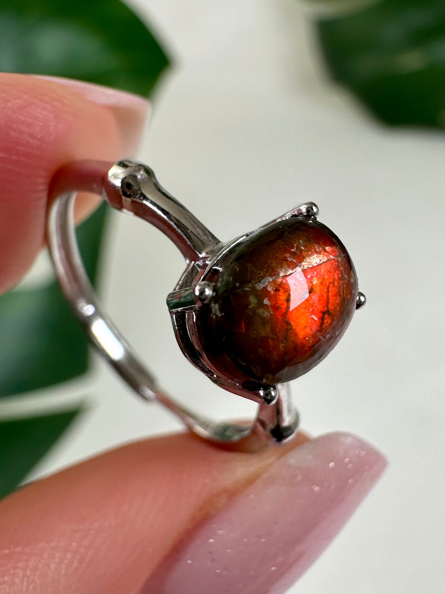 Ammolit Ring in 925 Silber Nr.49A3