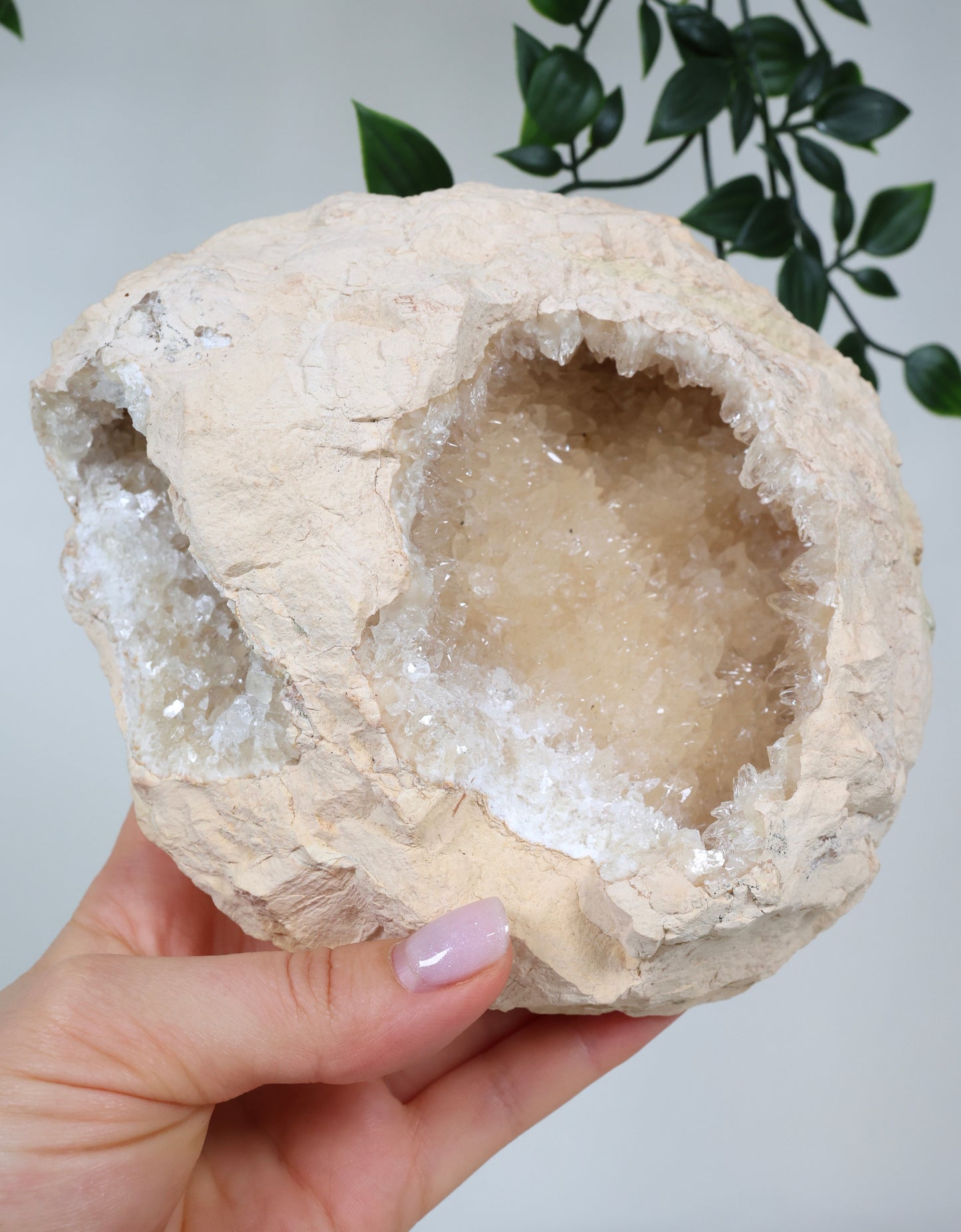 Calcit Geode Nr.45CG