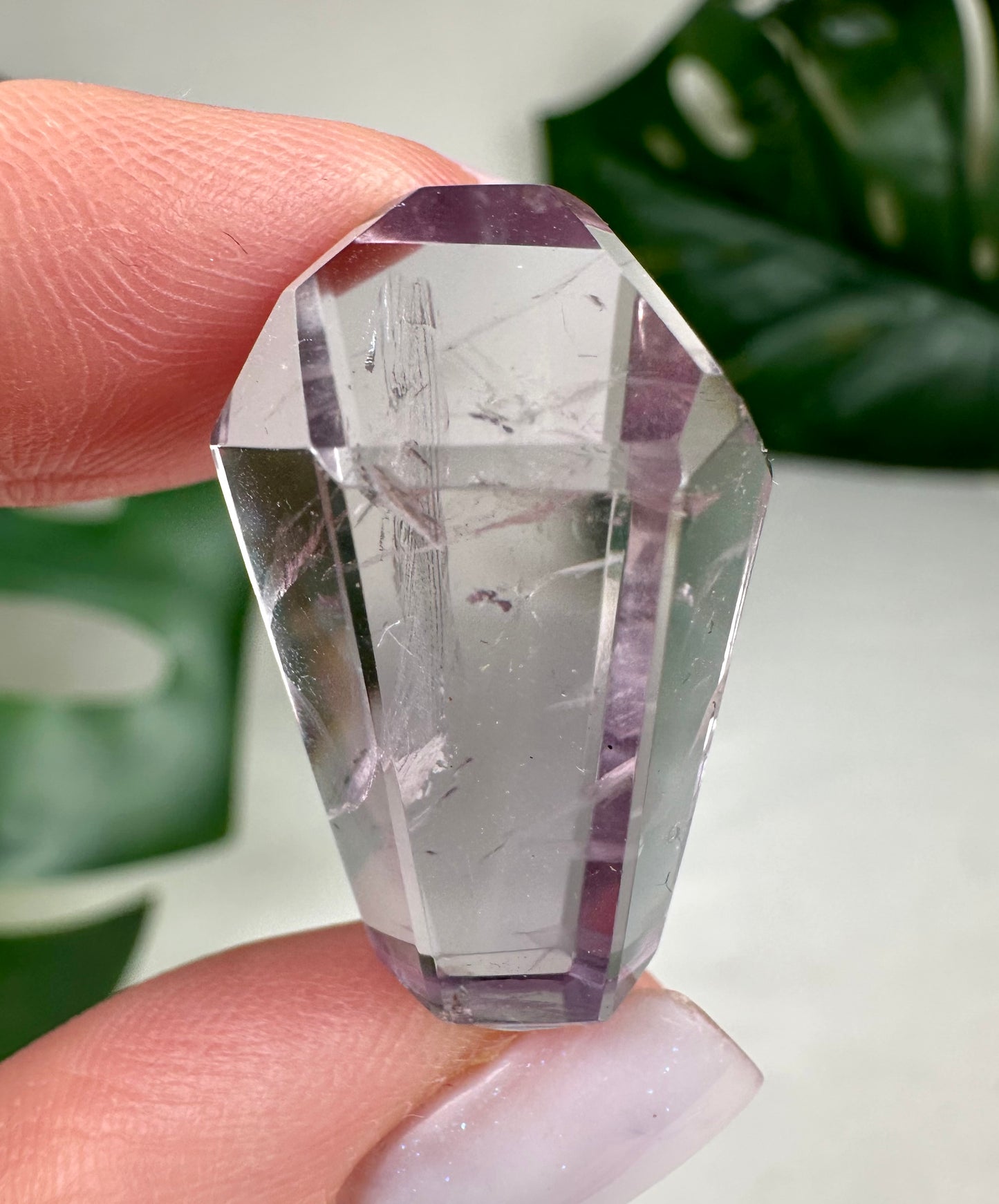 Rose de France Amethyst - Selection