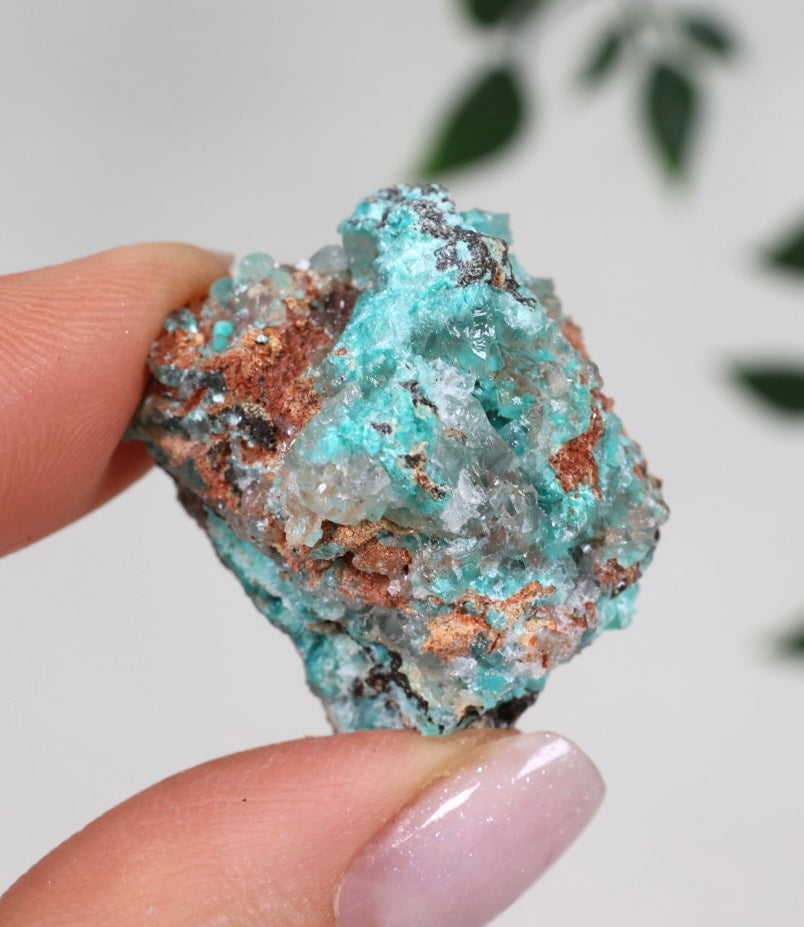 Aurichalcite - Auswahl