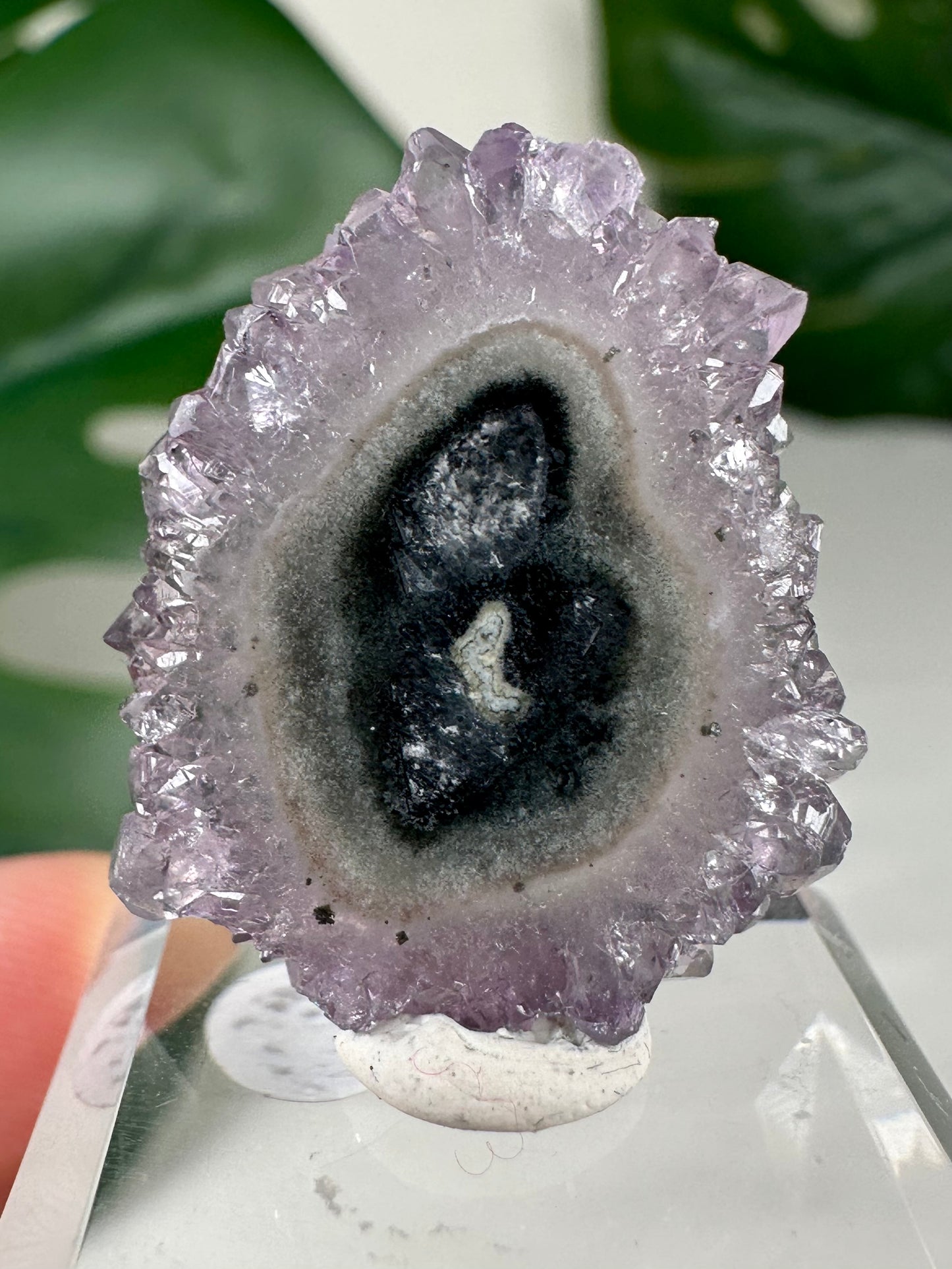Stalactite Disc - Selection