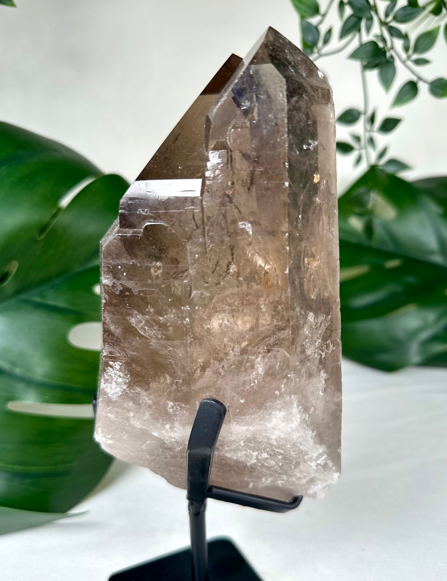 Rauchquarz Lemurian XL Nr.630LR