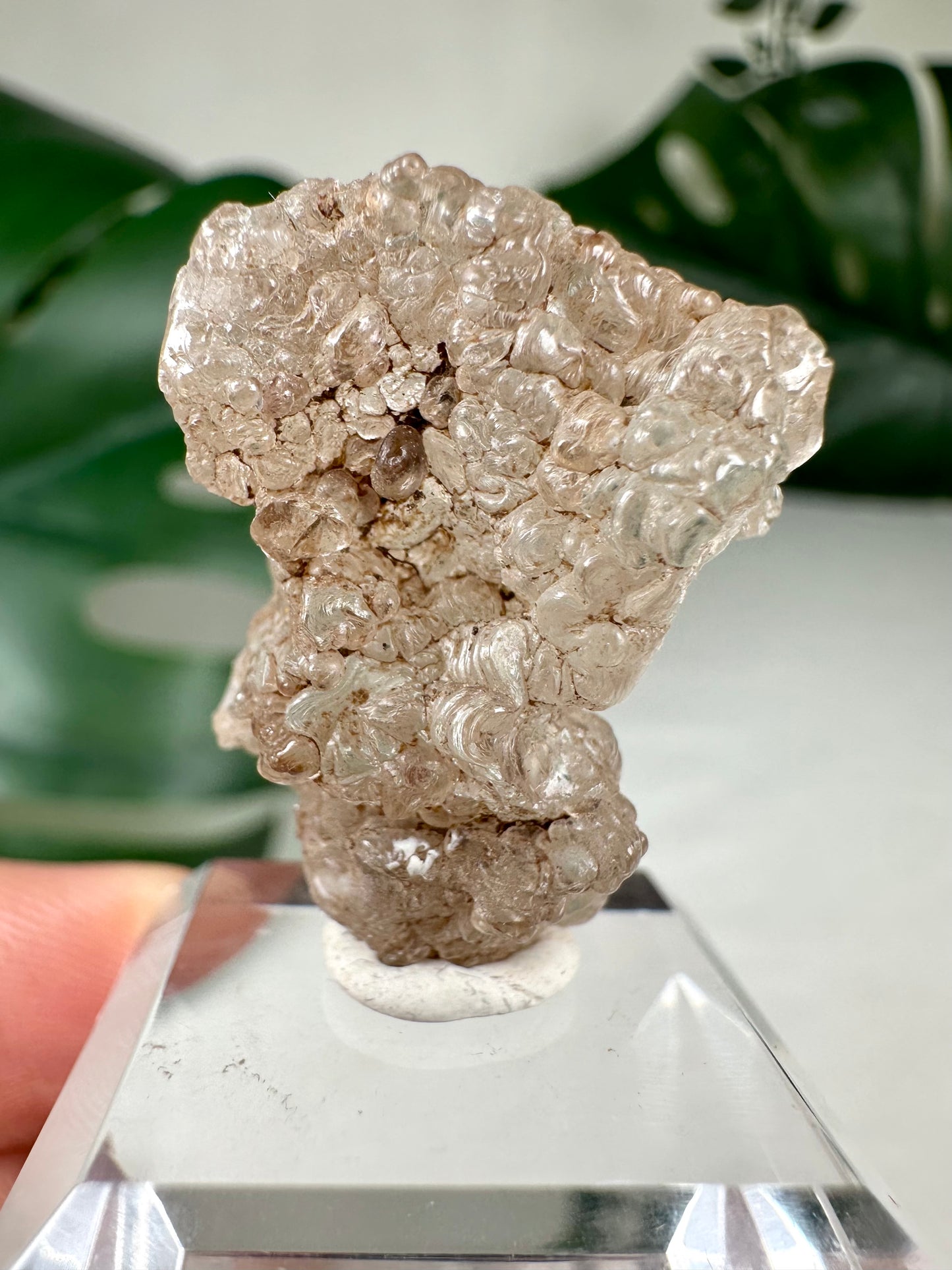 Hyalit Opal Nr.12HO