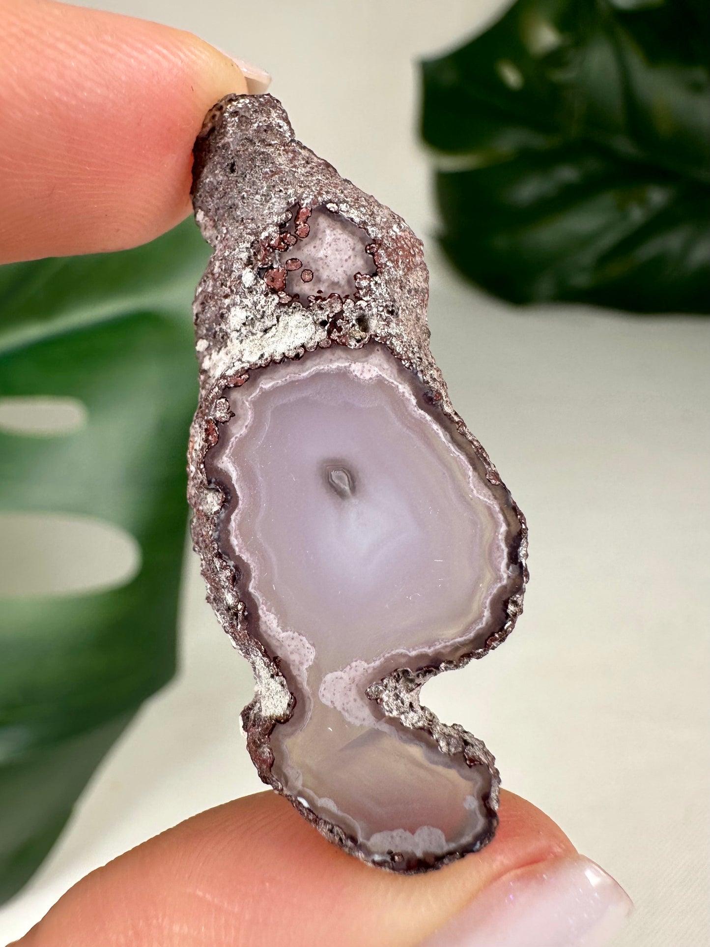 Coyamito Agate Slice - Purple - Selection