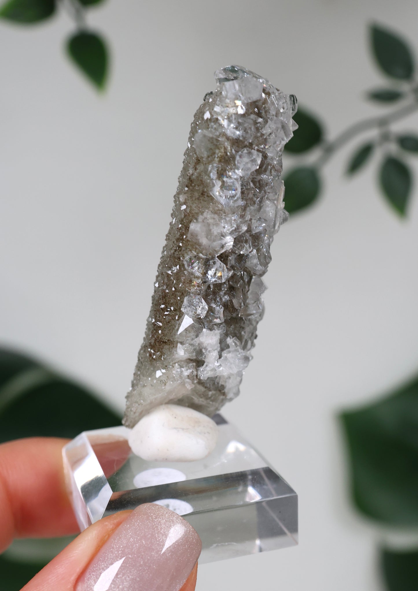 Apophyllit x Quarz x Chlorit Nr.79QA