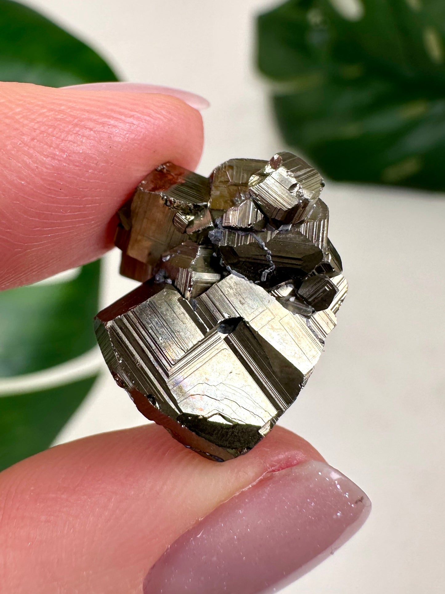 Pyrite No. 8P1
